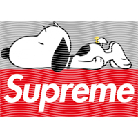 Brand Catalog-ZX 900